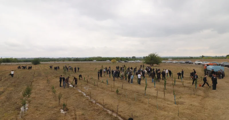 Qazaxda 27 Sentyabr Anım Günü ilə əlaqədar ağacəkmə aksiyası keçirilib