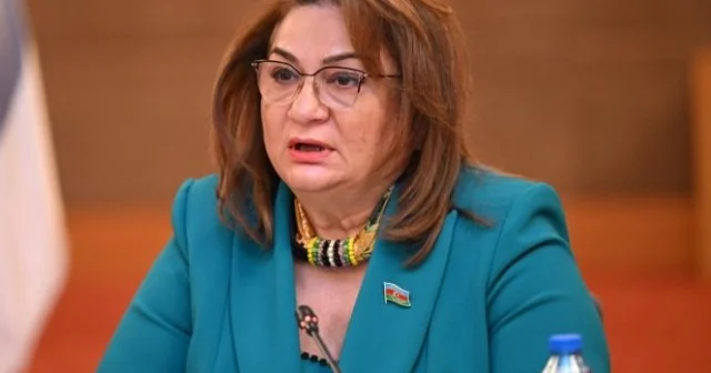 Qəbul olunan bəzi qanunları insanların çoxu dərk etmir Komitə sədri