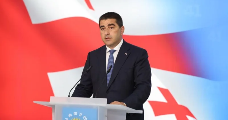 Şalva Papuaşvili: Brüssel danışıq və dialoqu nəzərdə tutan Avropa dəyərlərini itirib