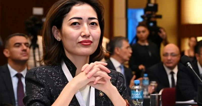 Azərbaycanın təşəbbüsləri AQEM in xəritəsini genişləndirir MÜSAHİBƏ