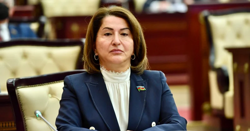 “Məişət zorakılığı qanununda dəyişikliklər zəruridir” T. Cəfərova
