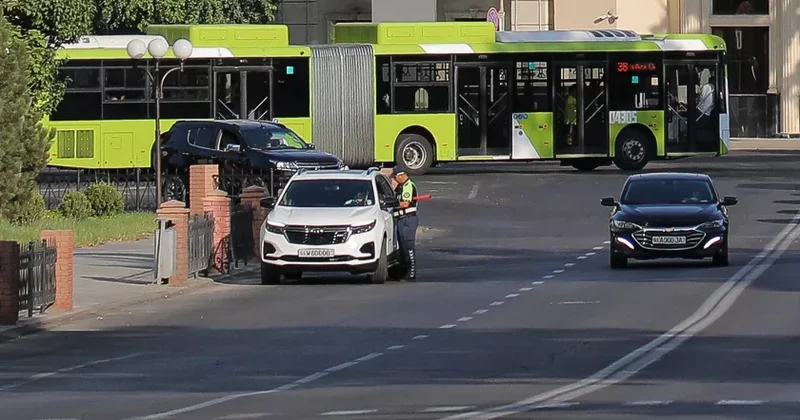 Dövlət qurumlarının çoxu yalnız vətəndaşı cərimələməklə məşğul olur
