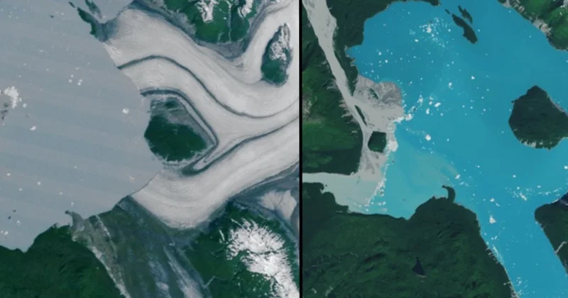 NASA peyk vasitəsilə Alyaska sahillərində yeni ada aşkar edib