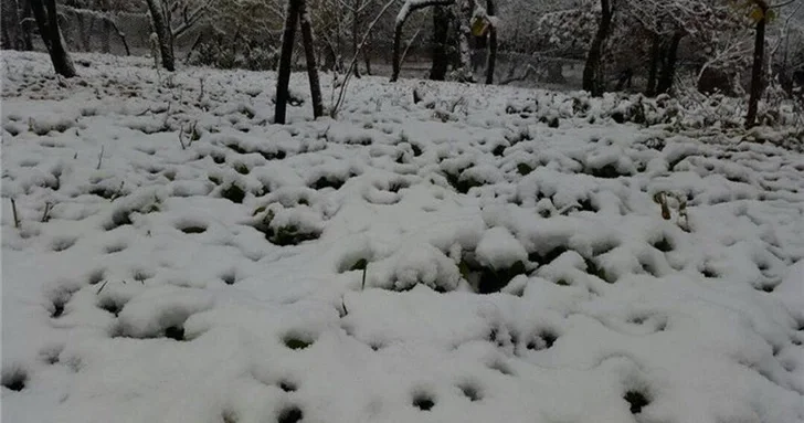 В трёх сёлах Лачина идёт снег