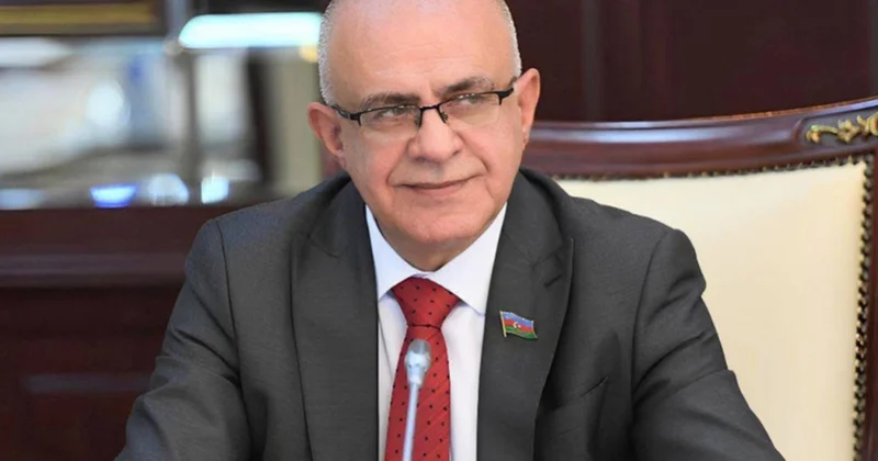 Suverenlik və milli güc amili” Elçin Mirzəbəyli yazır