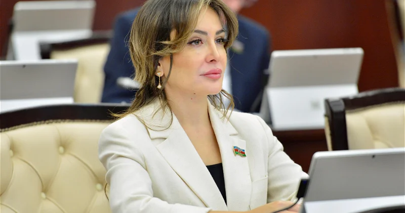 Bakı müzakirələri TDT də təhlükəsizliyi gücləndirəcək