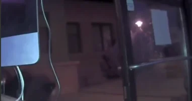 Медведи разгромили спортзал в США ВИДЕО