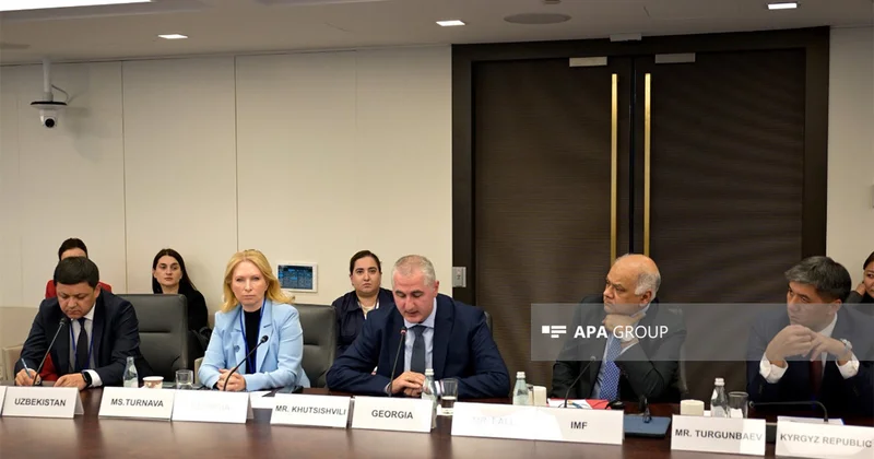 Nazir: Gürcüstan Azərbaycanla birgə gömrük məntəqələrinin yaradılması üzərində işləyir