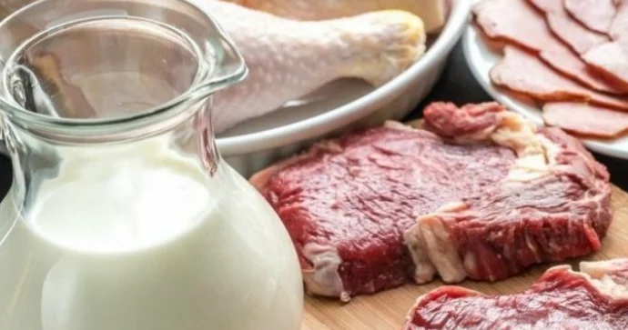 Azərbaycandan bu ölkəyə aparılan ət məhsulları məhv edilir