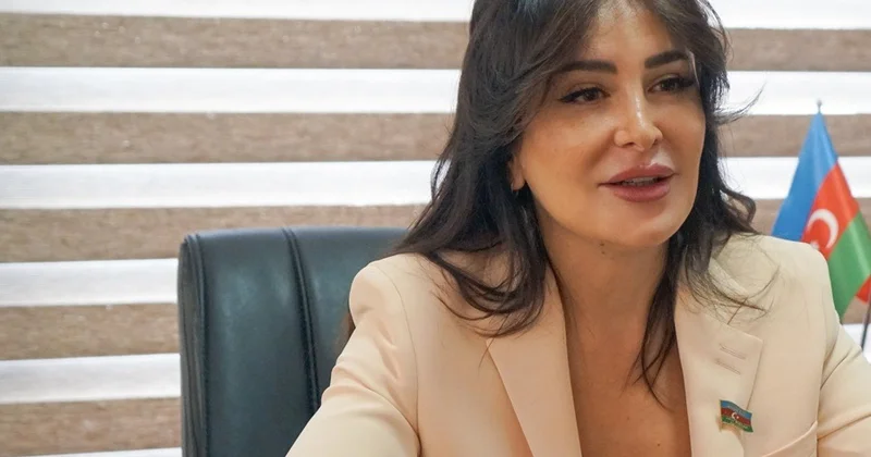 Azərbaycan təkcə Zəfərin deyil, sülhün də müəllifidir MÜSAHİBƏ