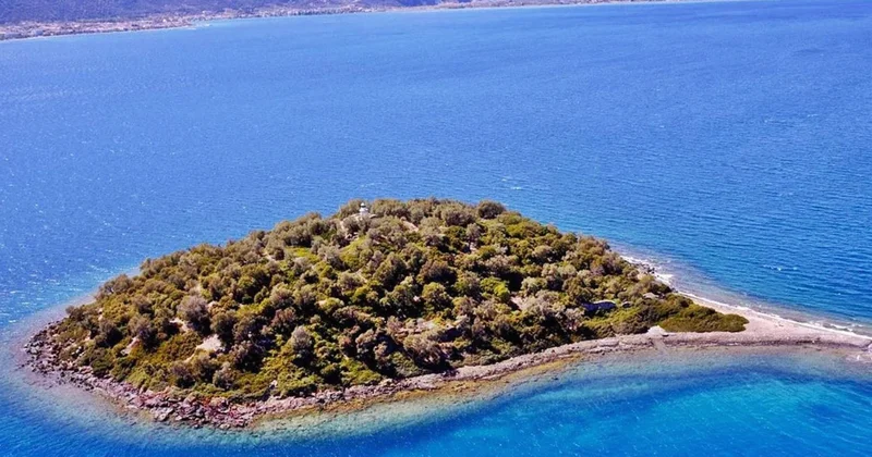 Tarixi ada satışa çıxarıldı