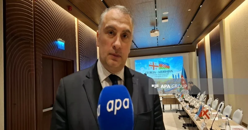 Gürcü analitik: Tbilisi və Bakı regionu bacarıqlı geosiyasi oyunçuya çevirməlidir