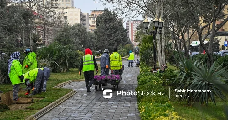 В Баку начнут масштабные работы по благоустройству тротуаров, дворов, парков и садов