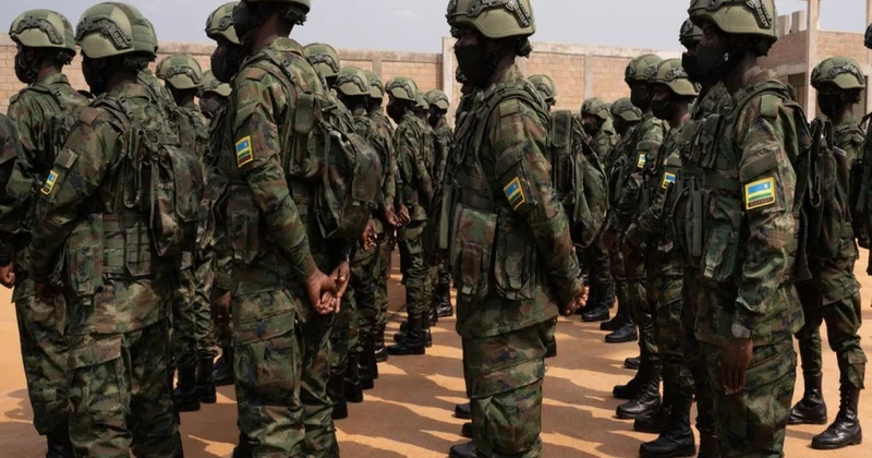Beş Afrika ölkəsi silahlı qruplaşmaların tərksilahı üzrə planı razılaşdırıb