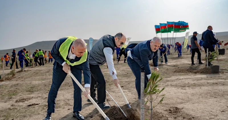 Energetika Nazirliyinin iştirakı ilə növbəti ağacəkmə aksiyası keçirilib