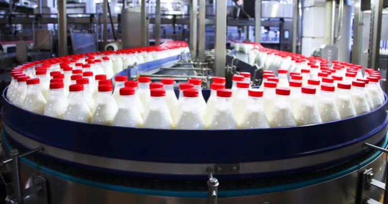 Исследование: Некоторые фабричные продукты могут снижать риск рака кишечника