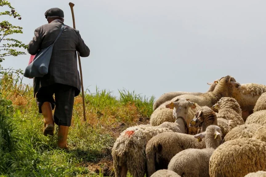 Çobanların üzərinə qaya parçaları düşdü 1 ölü, 1 yaralı