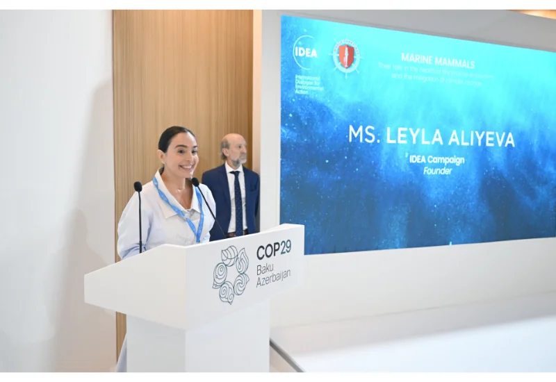 Heydər Əliyev Fondunun vitseprezidenti Leyla Əliyeva COP29 çərçivəsində dəniz canlılarına dair panel müzakirələrində iştirak edib FOTO