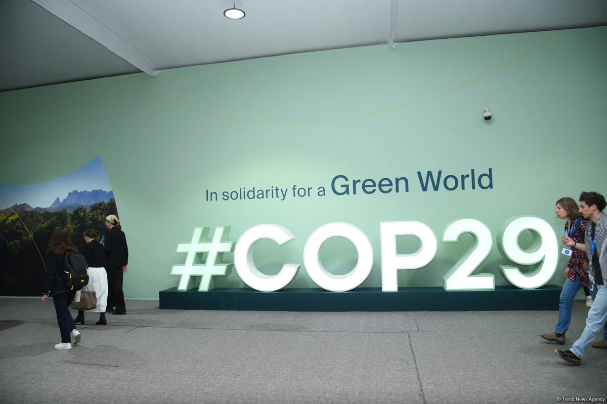 Фоторепортаж с девятого дня COP29 в Баку