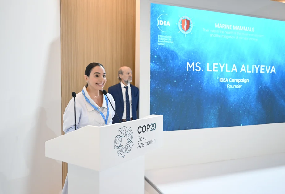 Leyla Əliyeva COP29da panel müzakirələrində iştirak edib