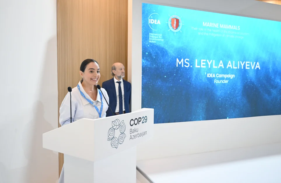 Leyla Əliyeva COP29 çərçivəsində müzakirələrdə iştirak etdi FOTO