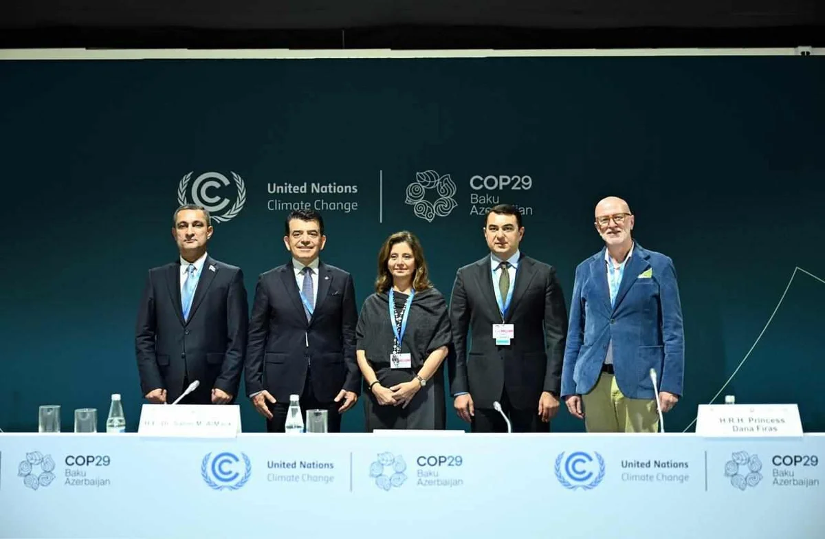 COP29 çərçivəsində daha bir panel sessiyası keçirildi FOTO