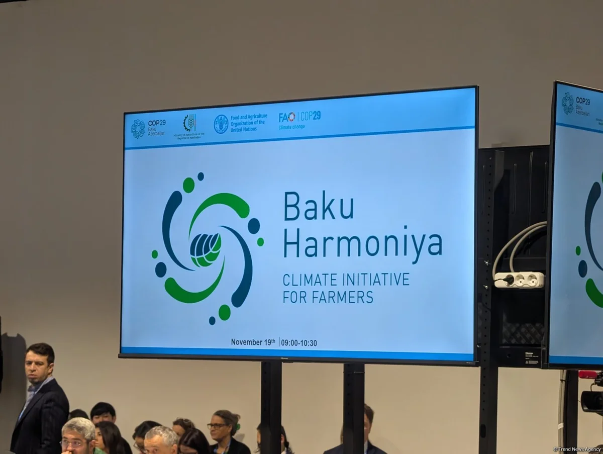 В рамках COP29 проходит мероприятие по запуску климатической инициативы Baku Harmoniya