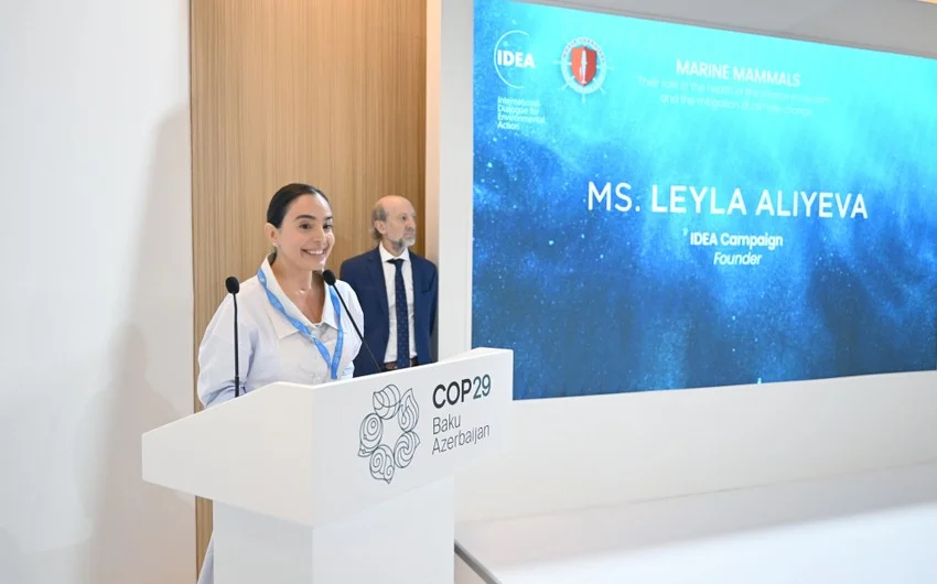 Leyla Əliyeva COP29 çərçivəsində dəniz canlılarına dair panel müzakirələrində iştirak edib KONKRET