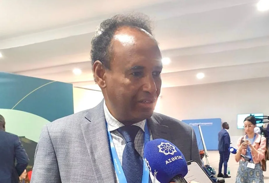 Somali nümayəndəsi: COP29 bütün dünyanı bir araya gətirərək, iqlim problemlərinin müzakirəsinə meydan açıb AZƏRTAC