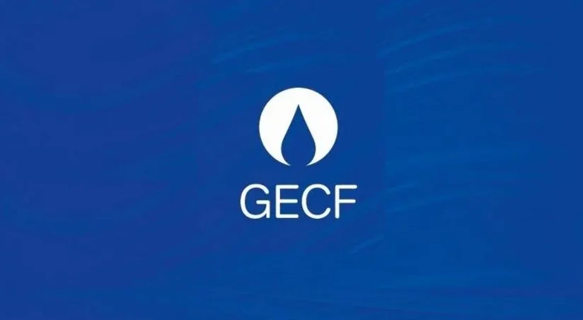 GECF və OPEC COP29da iqlim dəyişikliyi ilə mübarizə çərçivəsində birgə addımları müzakirə ediblər