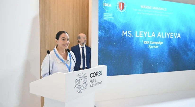 Leyla Əliyeva COP29 çərçivəsində dəniz canlılarına dair panel müzakirələrində iştirak edib