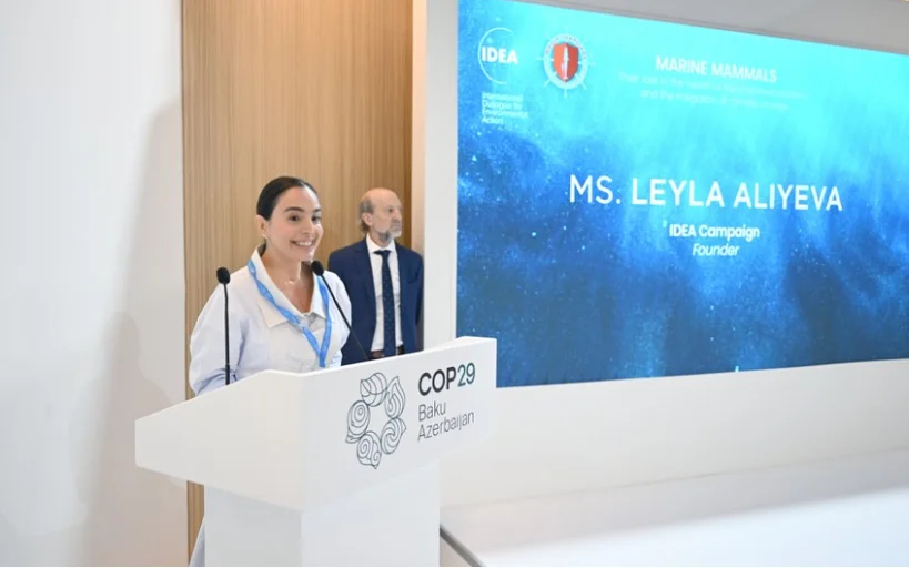 Leyla Əliyeva COP29 çərçivəsində dəniz canlılarına dair panel müzakirələrində iştirak edib