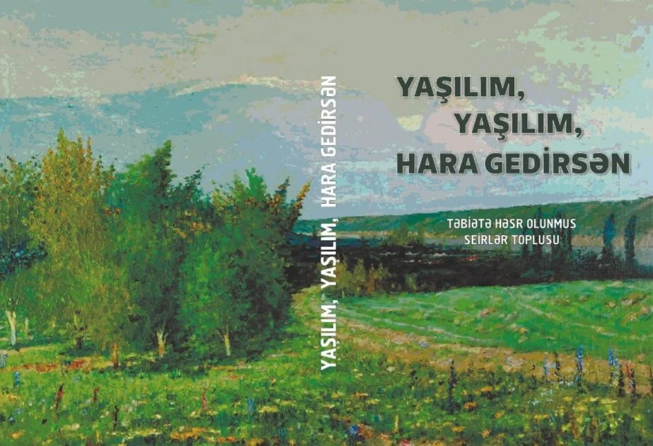 AYB yeni şeirler toplusu nəşr etdirdi