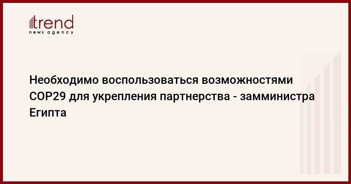 Необходимо воспользоваться возможностями COP29 для укрепления партнерства замминистра Египта