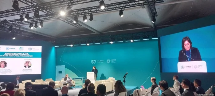 COP29 I COP29da çərçivəsində iqlim tədbirlərinin