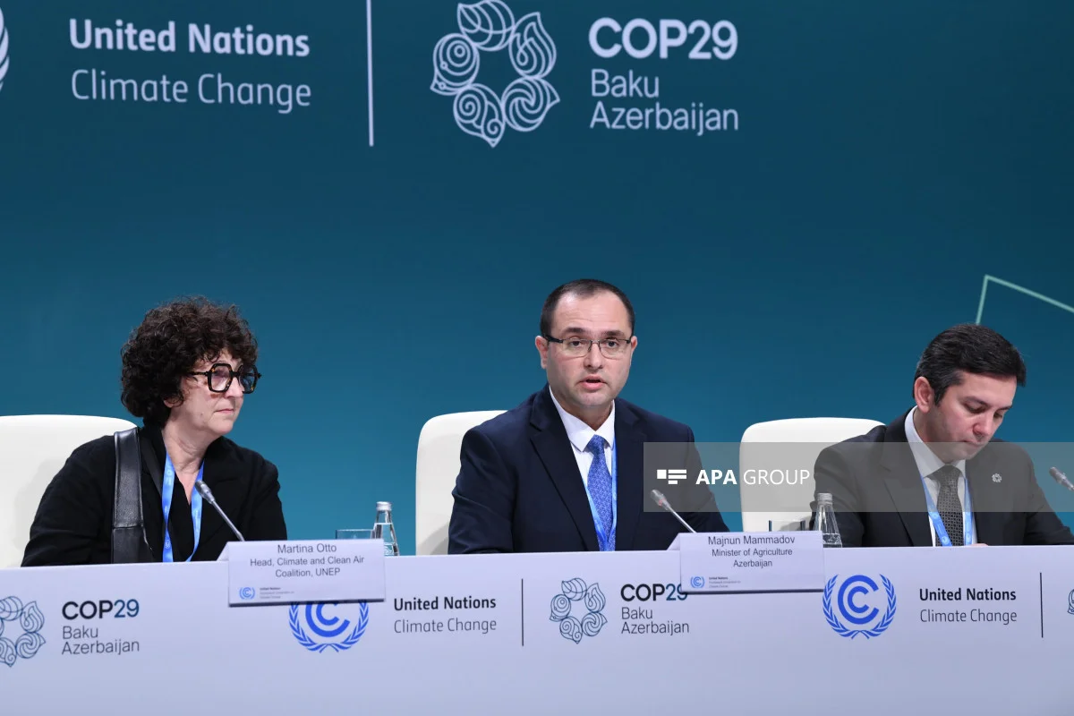 Nazir: COP29da iştirak edən tərəfləri kənd təsərrüfatı sahəsində effektiv əməkdaşlığa çağırırıq