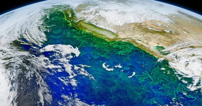 Alimlər: Yerin oxu insan səhvinə görə əyilib