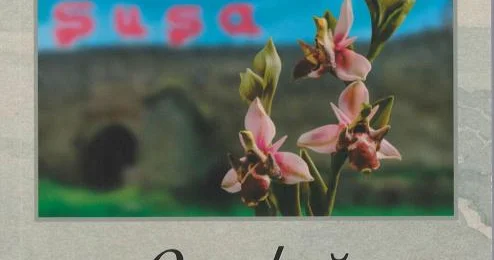 Qarabağ mövzulu əsərlər: ədəbi tənqidin gözü ilə