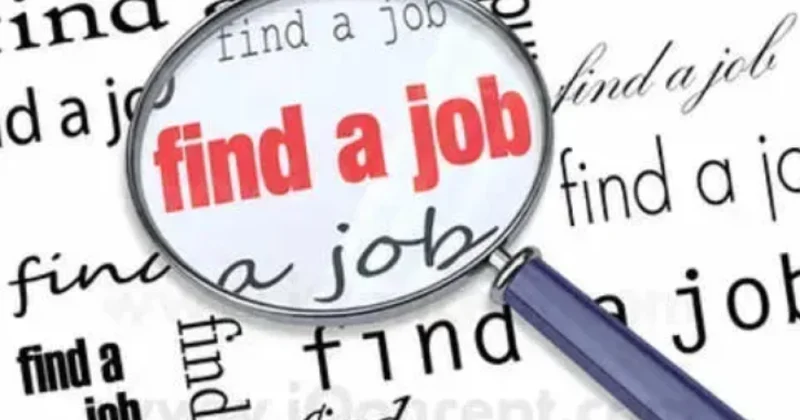 Gürcüstanda işsizlik səviyyəsi azalıb