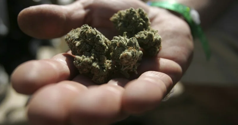 Bu il 185 milyon manatlıq narkotik dövriyyədən çıxarılıb