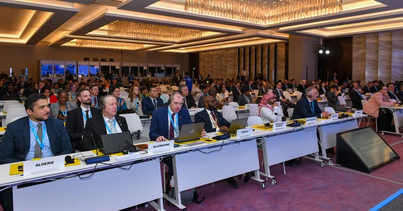 Ölkəmiz “WTDC 25” uğurla təmsil olunub