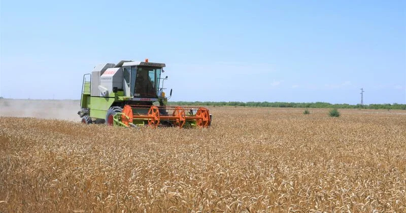 Gələn il kənd təsərrüfatına ayrılacaq vəsait açıqlandı