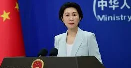 Çin XİN: Yaponiya BMT TŞ üzvü ola bilməz