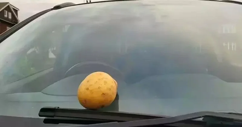 Vətəndaşlara xəbərdarlıq: Avtomobilinizin şüşəsinə kartof sürtün!