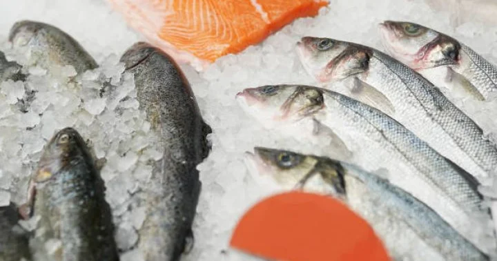 Yerli balıq məhsullarının ƏDV dən azad olması müzakirə edilib