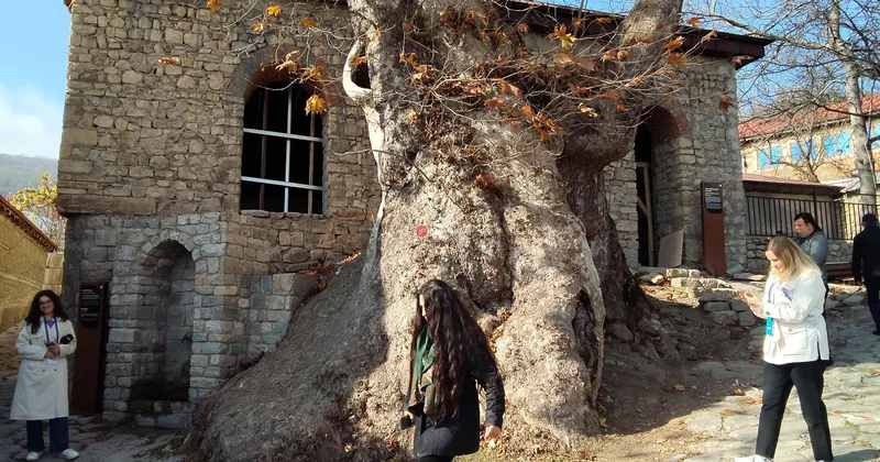 462 yaşlı xan çinar və ondan da qədim məscid FOTO