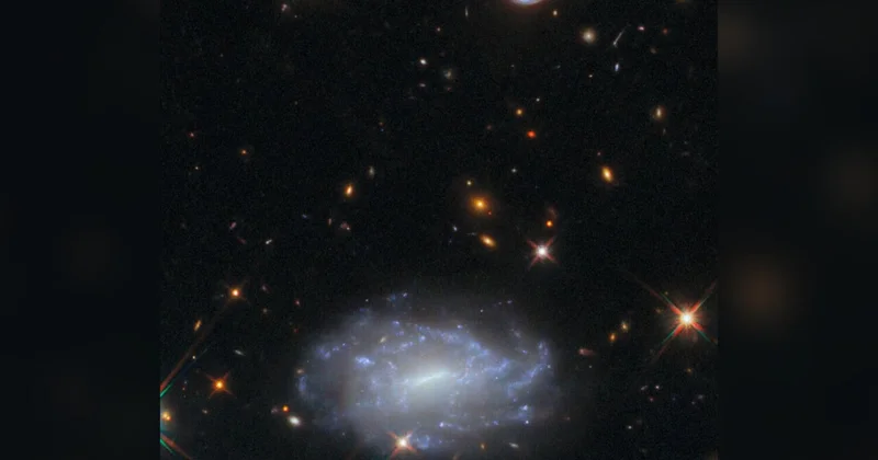 Британский астроном назвал новые созвездия в честь фастфуда