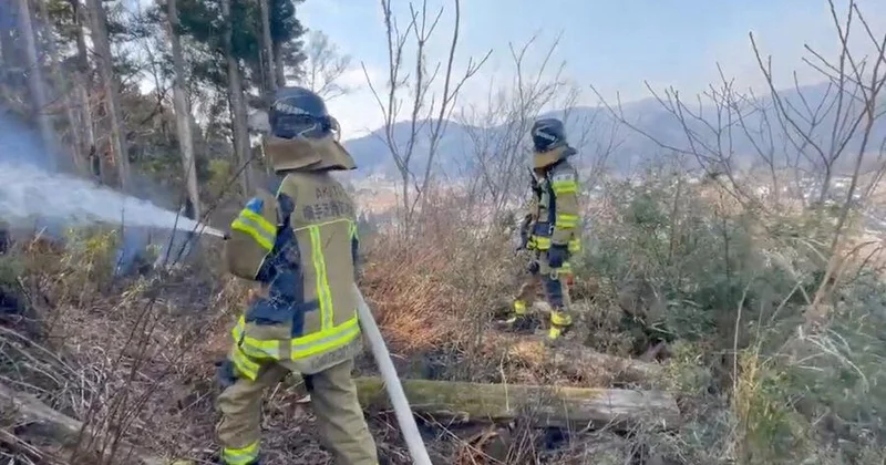 Yaponiyada yanğın 170 dən çox evi məhv etdi