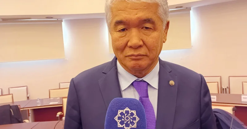 Sultan Raev: TÜRKSOY Birinci Türkoloji Qurultayın 100 illik yubileyi ilə bağlı hazırlıq işlərini fəal şəkildə davam etdirir