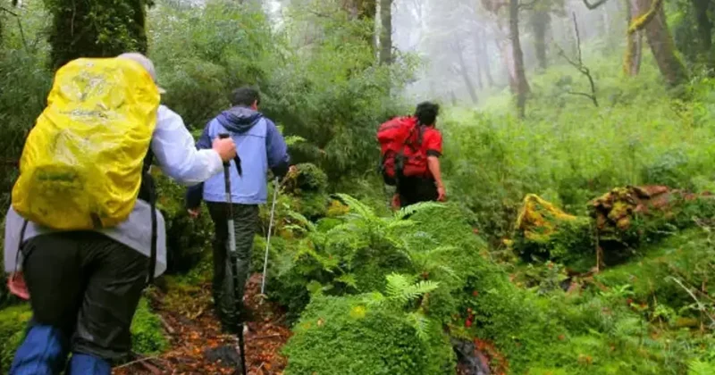 Gəzintiyə çıxan turistlər həyatlarını itirdilər İtkin düşənlər var